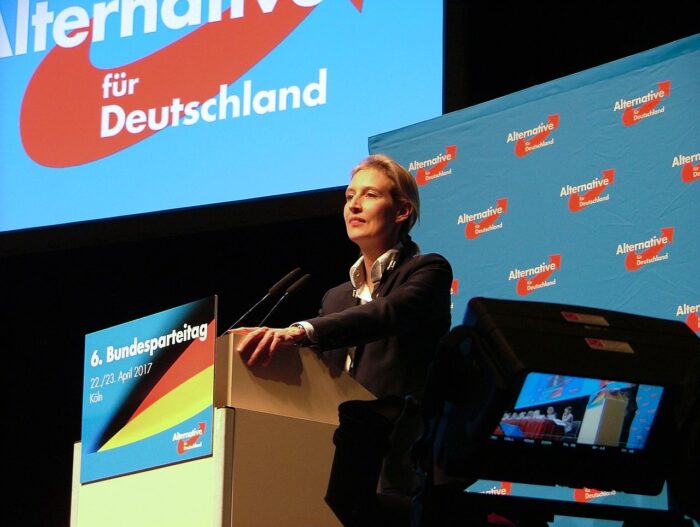 Allemagne : comment expliquer la percée médiatique de l’AfD ?