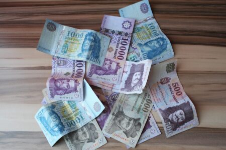 Salaire en baisse pour les députés hongrois